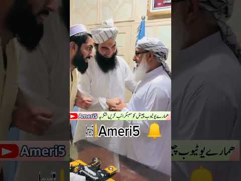 مفتی مجتبی عامر صاحب      