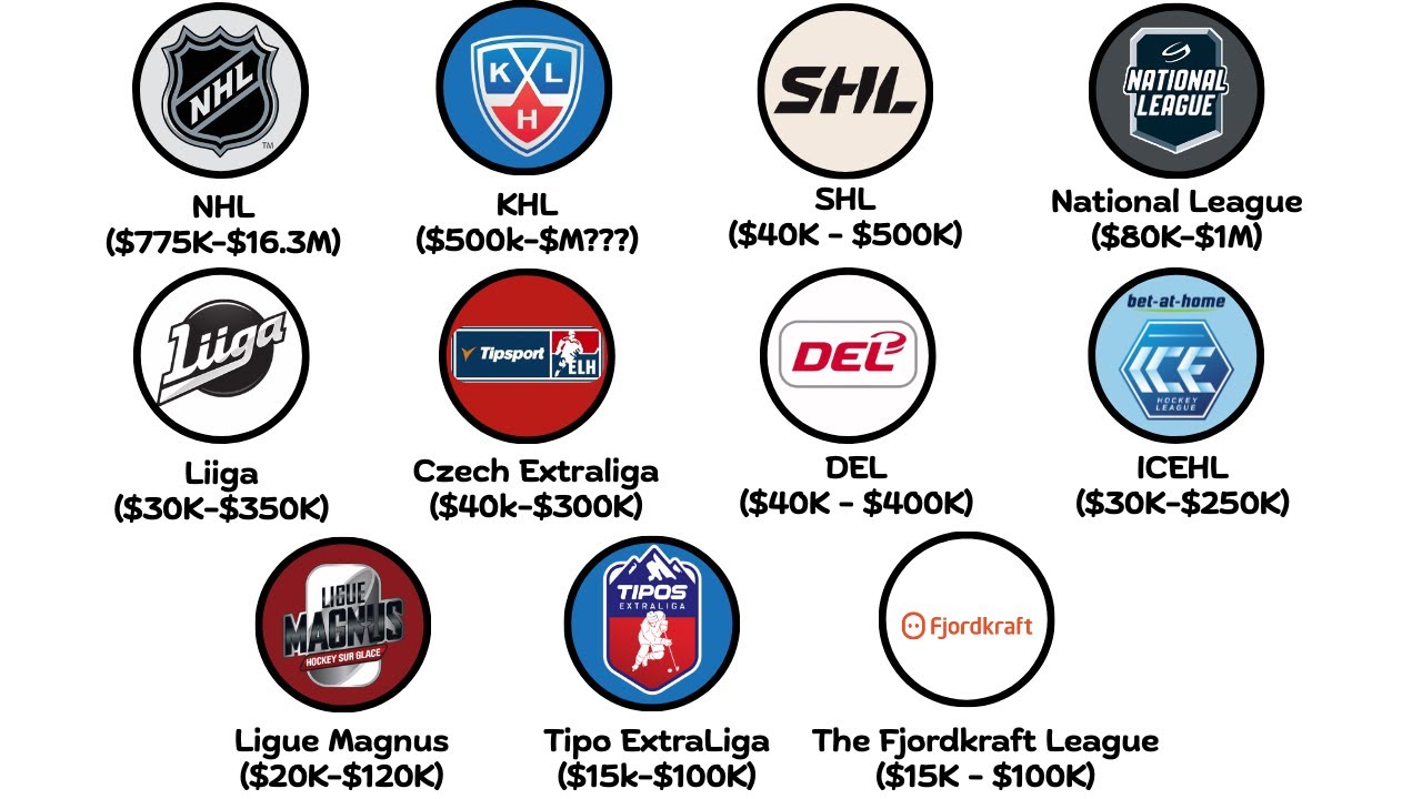 All the Best Hockey Leagues Explained in 18 Minutes