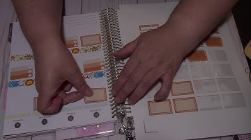 Plan With Me Recollections Spiral Aug 27th - Sept 2nd