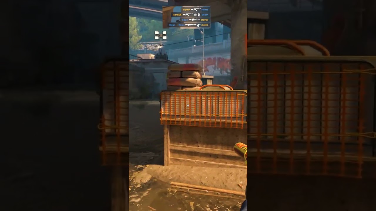 TLR CS2 TEAM WITH ANOTHER W 😎