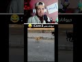 حيوانات مصر Shorts Pov ضحك Code Egypt
