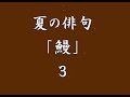 夏の俳句「鰻」３