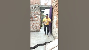 28 March | Snake attack vfx funny magic video | Kinemaster editing | Ayan mechanic