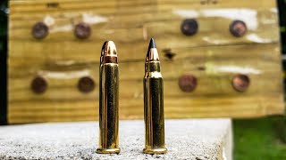 22mag vs 17hmr - penny challenge