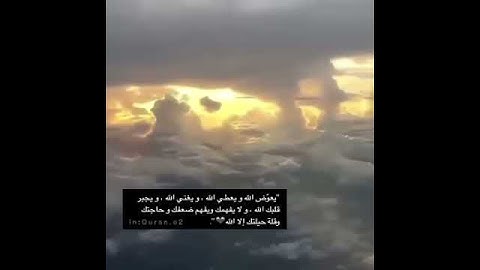قرآن كريم بصوت القارئ: هزاع البلوشي || أجمل حالات واتس اب دينيه || تلاوة خاشعة HD🍀🍃