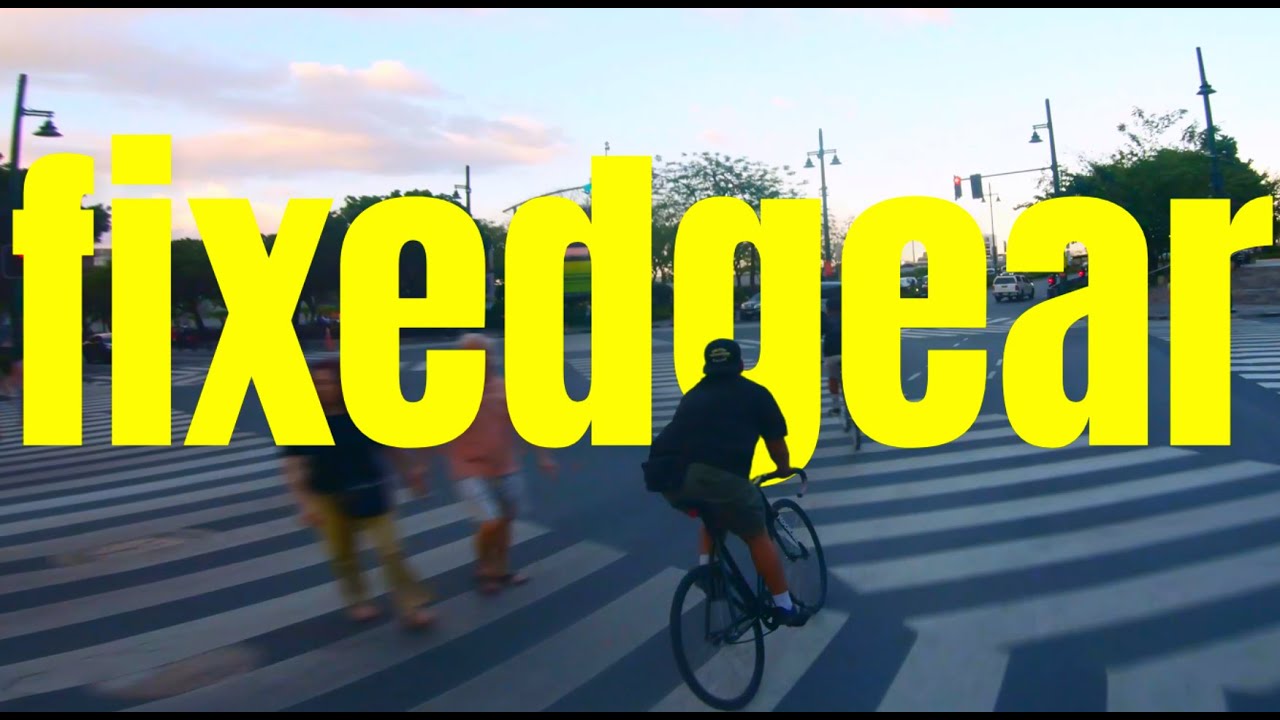 Street Shredders | fixedgear
