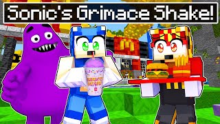 Sonic Goes To MCDONALDS! (GRIMACE SHAKE) | Minecraft Sonic The Hedgehog 3 | [52]