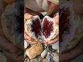 Unbelievable Red Crystal Geode Split Open – Hidden Treasure Revealed!