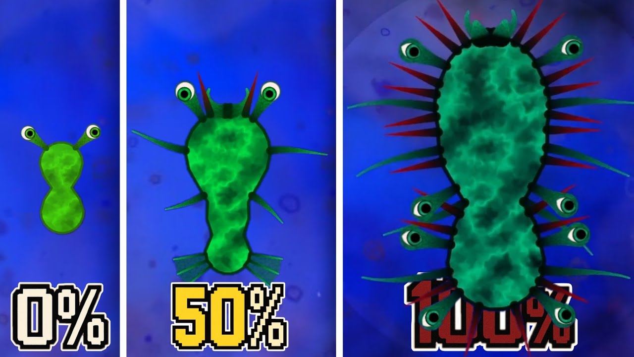 Aku 100% Bakteri Kentut di Celler