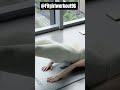 simple exercise for body stretching and strengthen #weightloss #loosebodyweight