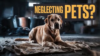 She Abandoned Her Pets, Then Begs to Have Them Back