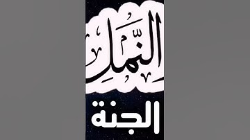 سورة النمل ( كاملة ) تلاوة هادئة و للنومراحة للقلب والعقل صوت من السماء وراحةنفسية