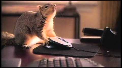 LeafGuard Gutters Commercial - Trained Squirrel