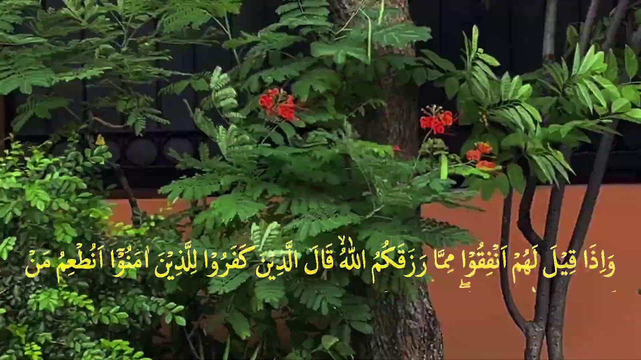 👉 Yosin surasi 83 oyat | Qalbga orom beruvchi ohangdor qiroat