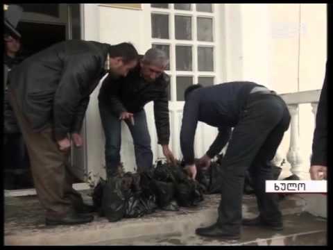 ხულოში ფერმერებს ამერიკული ლურჯი მოცვის ნერგები გადაეცათ