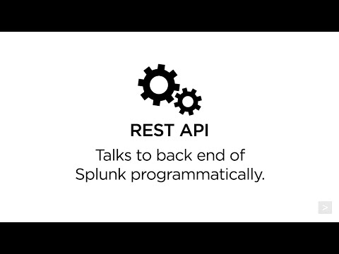 Using the Splunk REST API