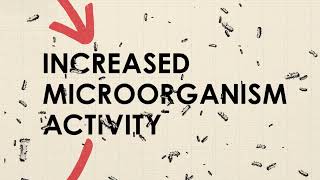 Explained: Carbon Cycle & Feedback Loops | Ecology 101