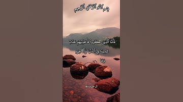تلاوة تهتز لها القلوب عن سوء و حُسن العاقبة آية 56 و 57 من سورة آل عمران بصوت مشاري راشد العفاسي