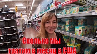 СКОЛЬКО ДЕНЕГ НУЖНО НА 1 МЕСЯЦ ЖИЗНИ В США. НАШИ ТРАТЫ. Калифорния, Сакраменто. Сколько мы тратим?