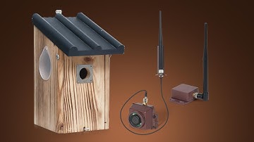 How to set up 600ft long range wireless bird box camera
