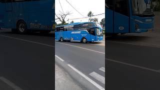 Download Lagu BUS ABL TRANS JB5 ‼️NADA BASURI CHICKEN DANCE #telolet #shorts #busmania #foryou MP3
