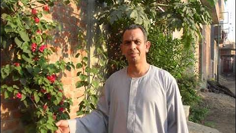 الشيخ عبدالفتاح عصفور مقطع رائع من سورة البقرة 13 6 2013
