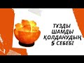 Тұзды шам/ солевая лама &quot;Скала&quot; / wonder life ♥