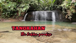 Tangkahan, The Hidden paradise, Langkat - Sumatera Utara