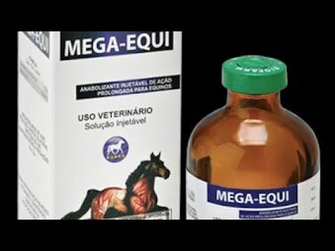 MEGA-EQUI - Biofarm