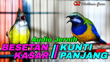 CUCAK CUNGKOK VS CUCAK JENGGOT GACOR FULL BESETAN NEMBAK KASAR DAN SUARA KUNTI PANJANG AUDIO JERNIH