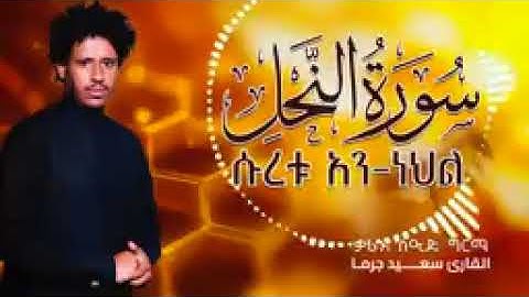 القران الكريم بصوت جميل جدا سوره النجم القارئ سعيد جرما