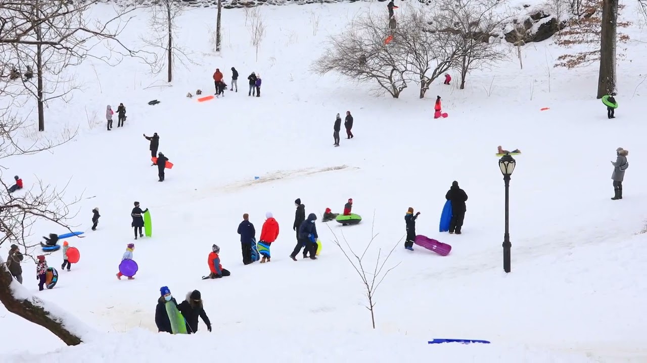 Sledding in Central Park
