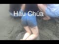Giao lưu bắt ốc móng tay và hàu chúa nướng ăn tai bờ biển cùng gái văn phòng nhật bản