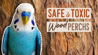 SAFE & TOXIC Wood Perches for Birds