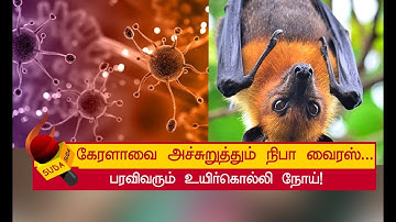 நிபா வைரஸ் என்றால் என்ன ? இதன் அறிகுறிகள் ?
