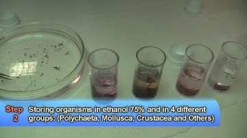 Benthic communities