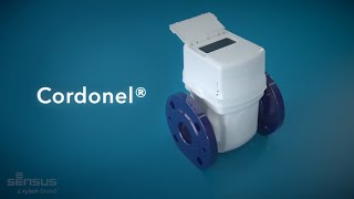Високоточний ультразвуковий смарт лічильник холодної води Cordonel