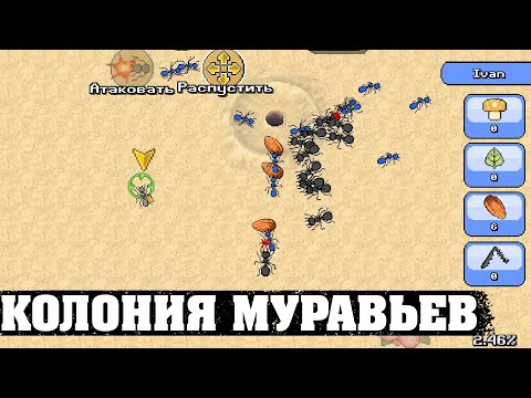 Видео: Захват Жука - Pocket Ants: Симулятор Колонии