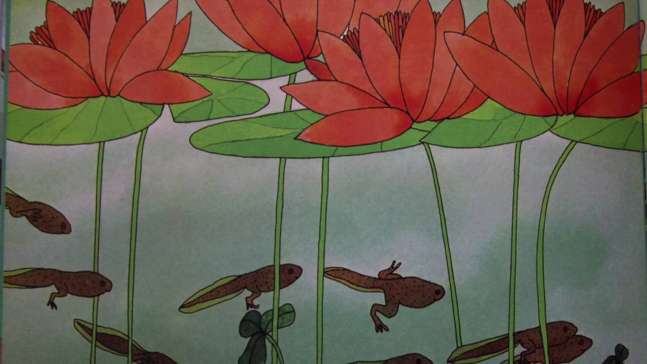 BTS 28 From Tadpole to Frog Kids Bedtime Story Nature Science