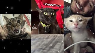 cute and funny pettok compilation | TikTok Compilation 💮