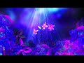 Beautiful Healing Sleep Music - Stress Relief, Serene Music, Relaxing Music, Deep Sleeping Music