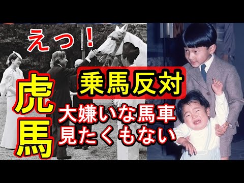 なぜ雅子さまは偽装馬車に乗れないのか？馬アレルギーの真実とは？浜尾侍従長が上皇后に激怒で税金無駄遣いも暴露！美智子さまがトラウマ深い闇！上皇さまが乗馬をやめた理由！天皇皇后両陛下と愛子さまが神馬に