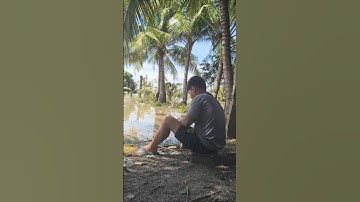 câu cá mùa nước lũ #kýứcmiềnquê #nhatkymiemtay #youtubeshorts