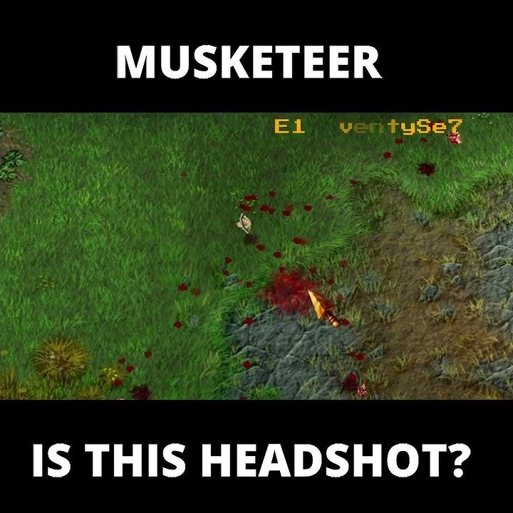MUSKETEER IS THIS HEADSHOT? Battle Realms