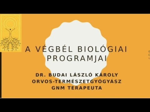 Videó: A Végbél és A Végbélnyúlvány Kiemelkedése Kutyáknál