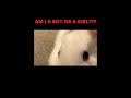 How To Tell The Sex Of A Rabbit How To Tell The Sex Of A Rabbit
