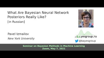 What Are Bayesian Neural Network Posteriors Really Like? [in Russian]
