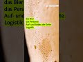 Oktoberfest: Warum die Maß immer teurer wird | BR24 #shorts