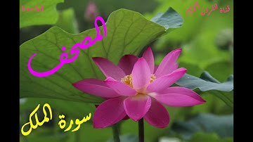 سورة الملك بصوة فضيلة السيج جمال الدين الزيلعي حفه الله 67