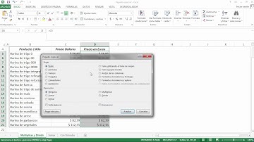 Pegado Especial en Excel